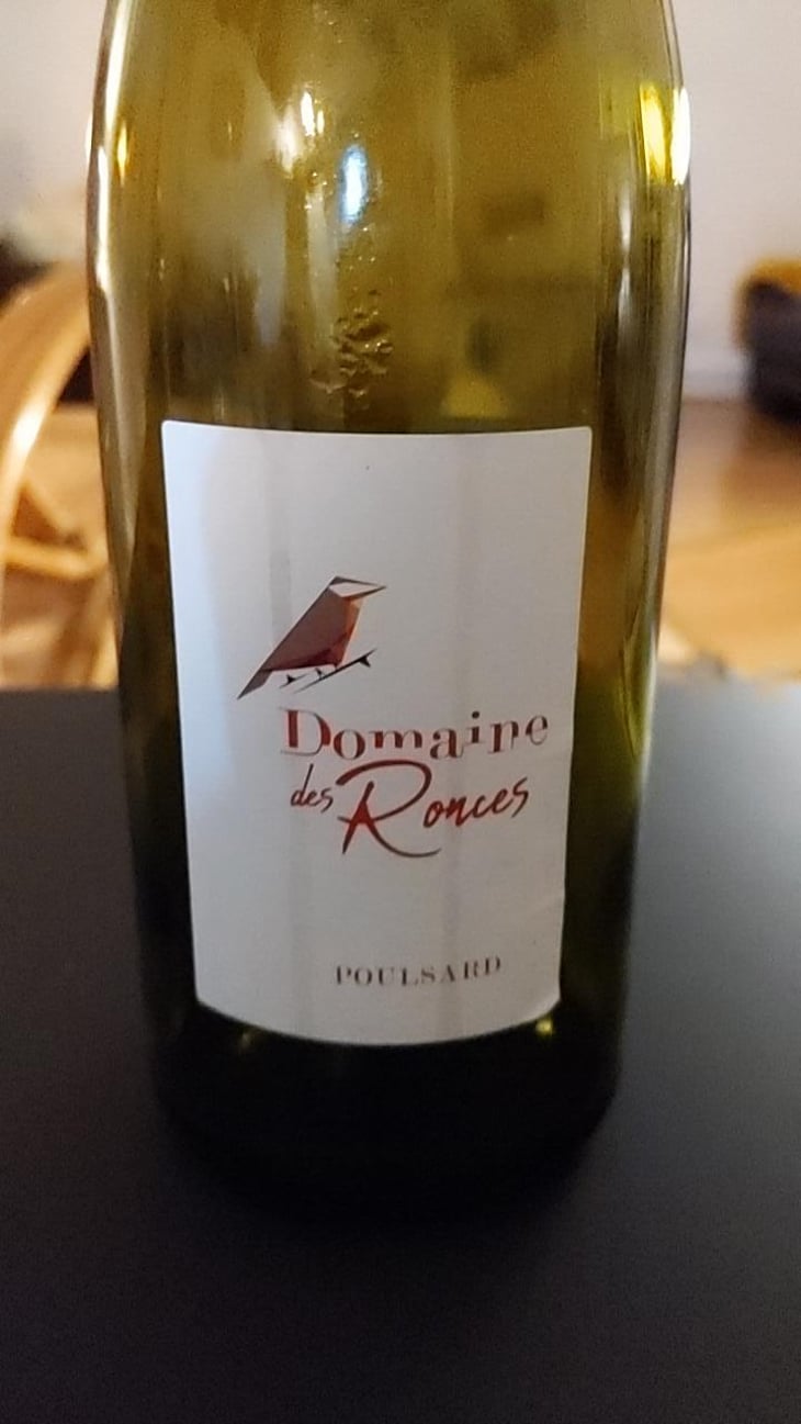 Pinot Noir - Domaine des Ronces - Michel & Kevin Mazier 