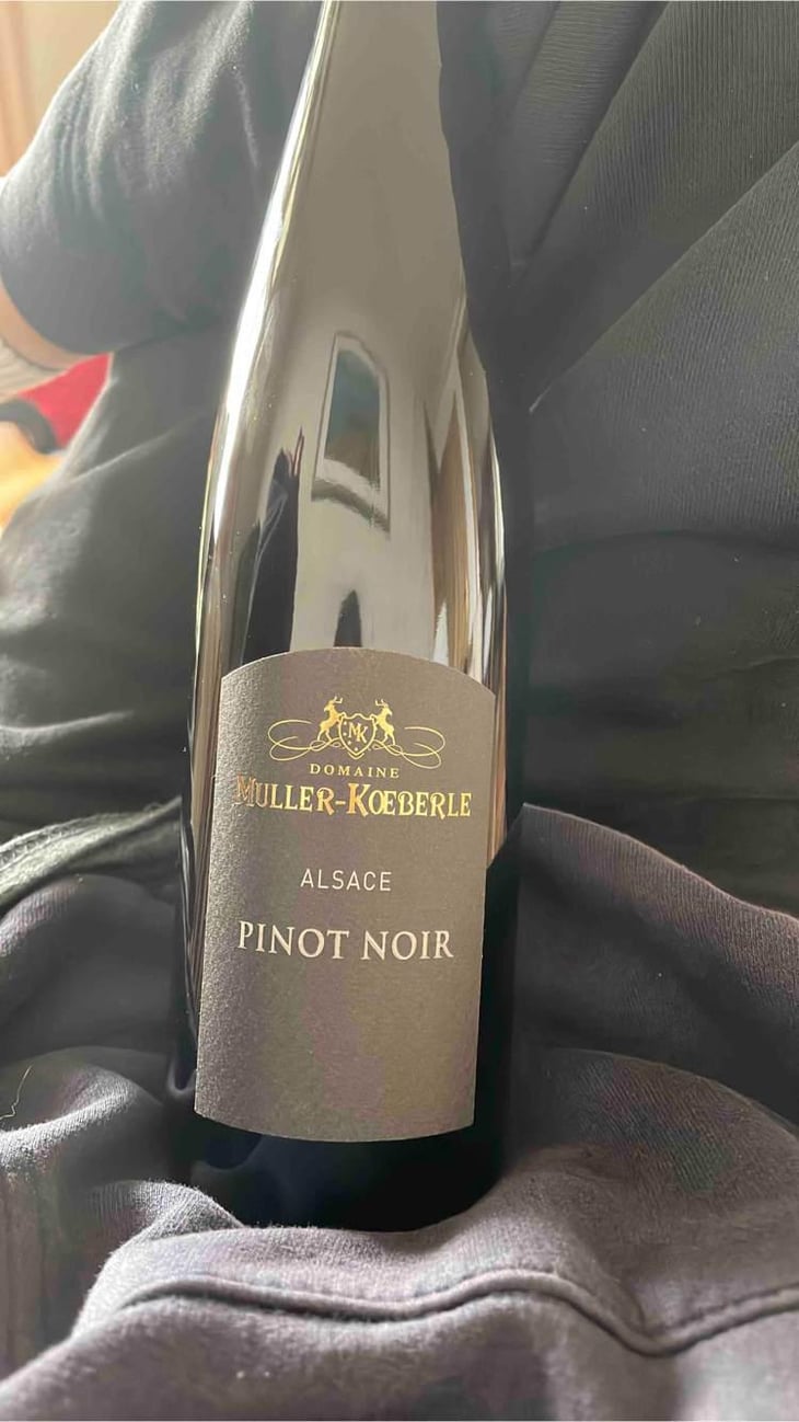 Pinot Noir - Domaine Muller-Koeberle - David Koeberle 