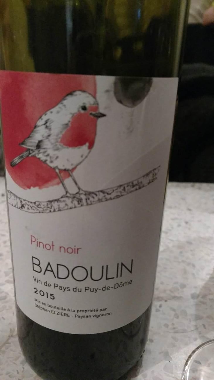 Pinot Noir - Badoulin - Stéphan Elzière - Stéphan Elzière 