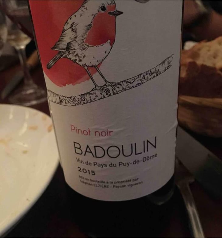 Pinot Noir - Badoulin - Stéphan Elzière - Stéphan Elzière 