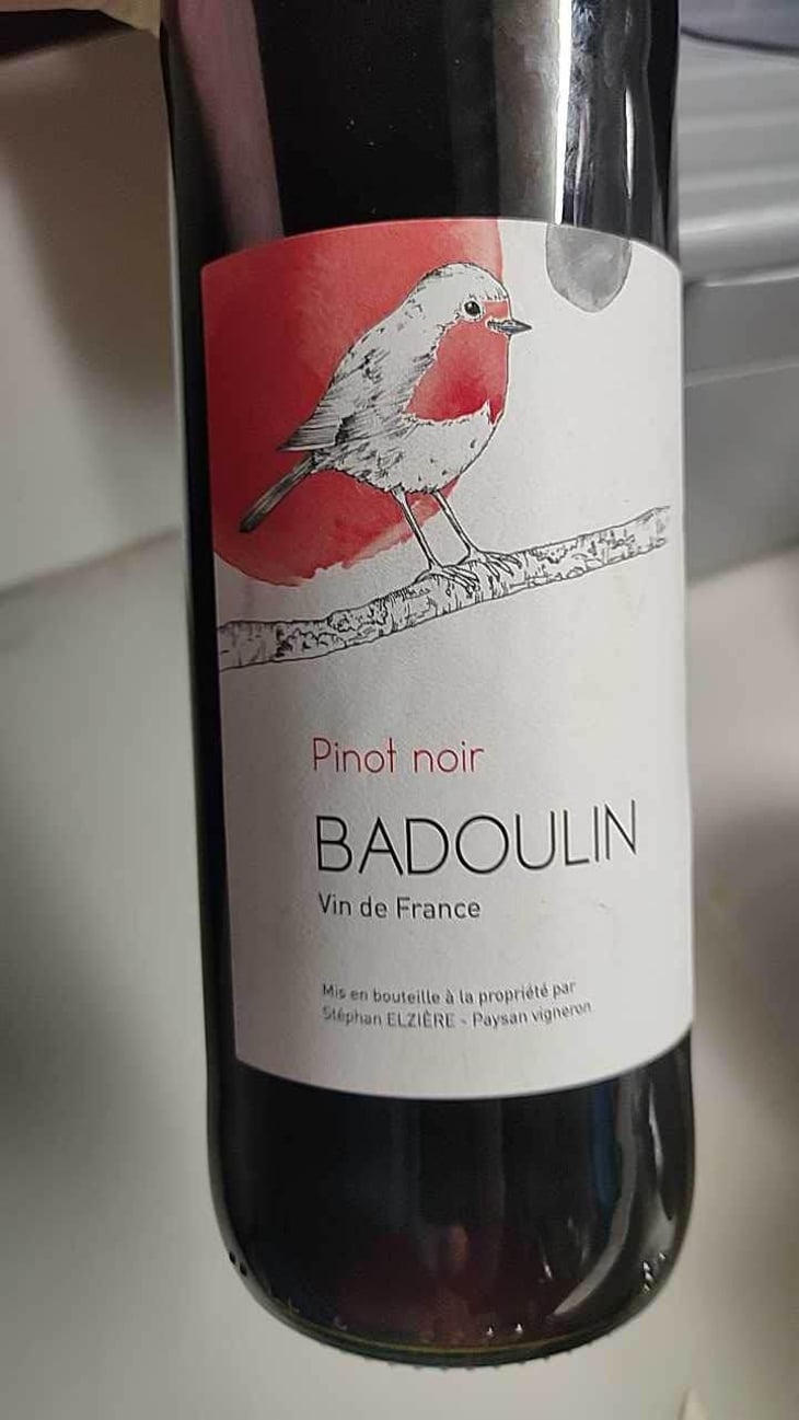 Pinot Noir - Badoulin - Stéphan Elzière - Stéphan Elzière 