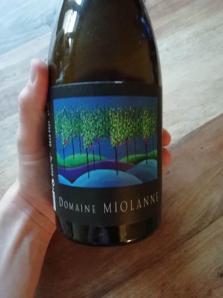 Pinot Noir - Domaine Miolanne - Jean-Baptiste Deroche & Laure Cartier 