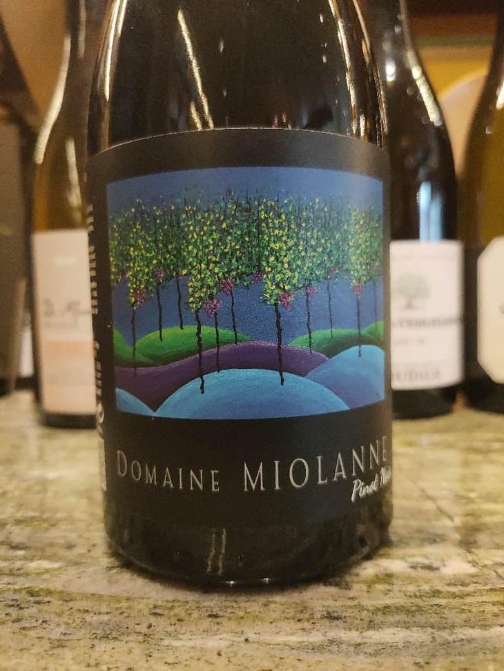 Pinot Noir - Domaine Miolanne - Jean-Baptiste Deroche & Laure Cartier 