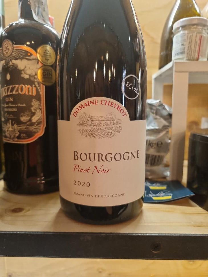 Pinot Noir Bourgogne - Domaine Chevrot - Vincent & Pablo Chevrot -2020