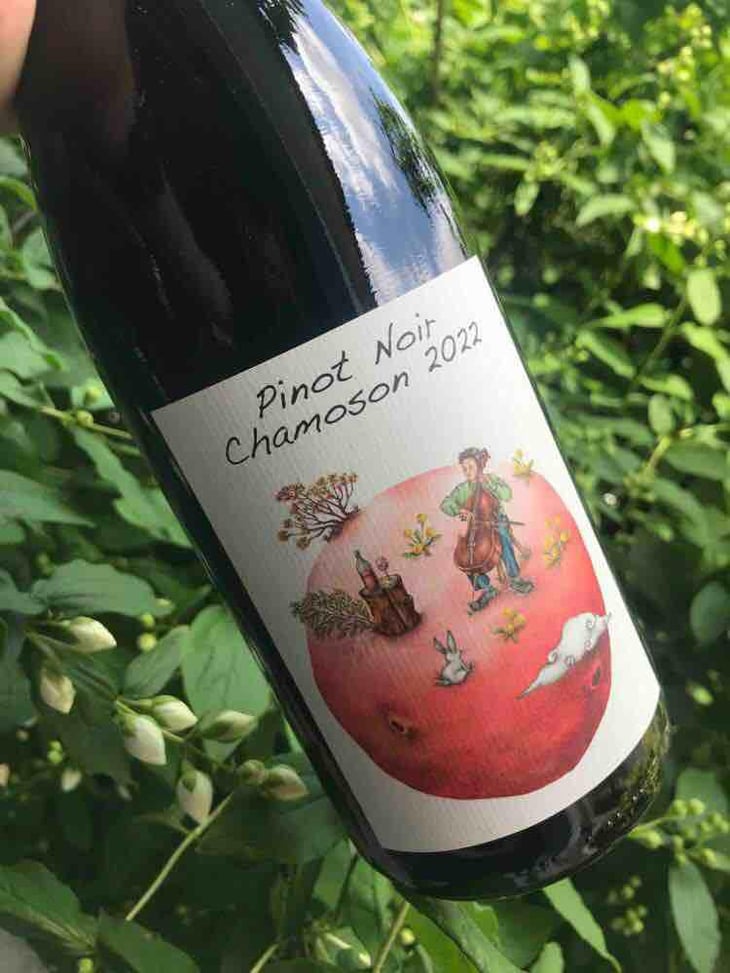 Pinot Noir Chamoson - Domaine des Petites Planètes - Guillaume Bodin -2022