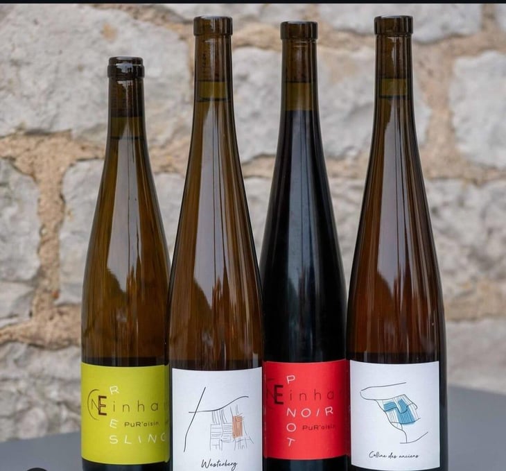 Pinot Noir - Domaine Einhart - Nicolas & Théo EINHART 