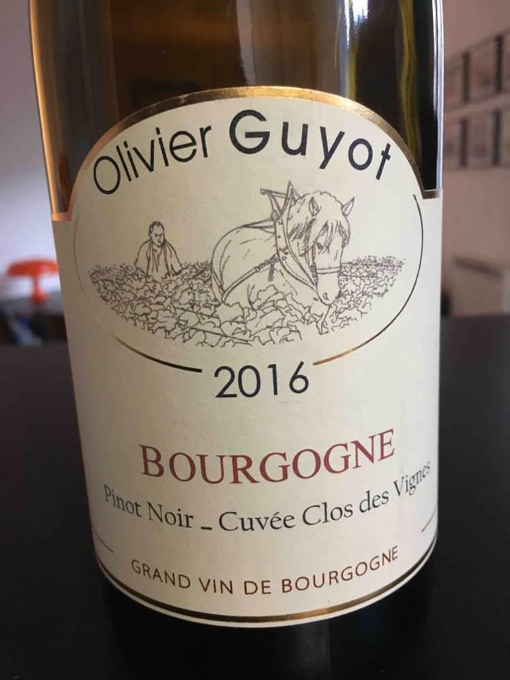 Pinot Noir Clos des Vignes - Olivier Guyot - Olivier Guyot 