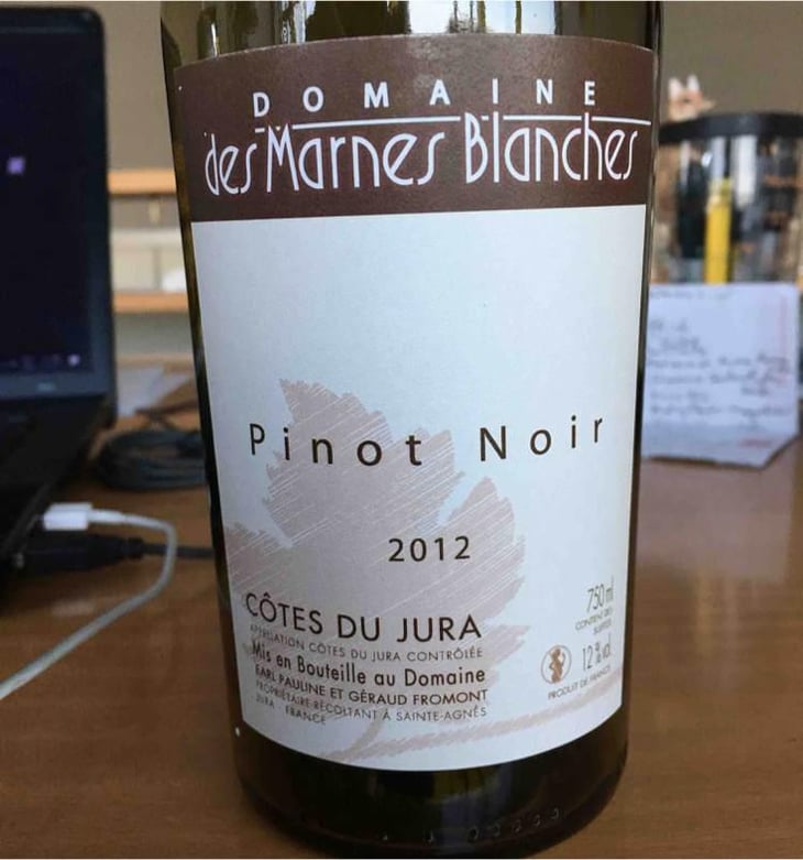 Pinot Noir - Domaine Des Marnes Blanches - Pauline & Géraud Fromont 