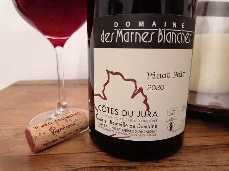 Pinot Noir - Domaine Des Marnes Blanches - Pauline & Géraud Fromont 