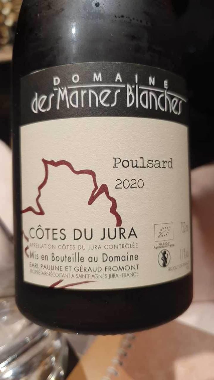 Pinot Noir - Domaine Des Marnes Blanches - Pauline & Géraud Fromont 