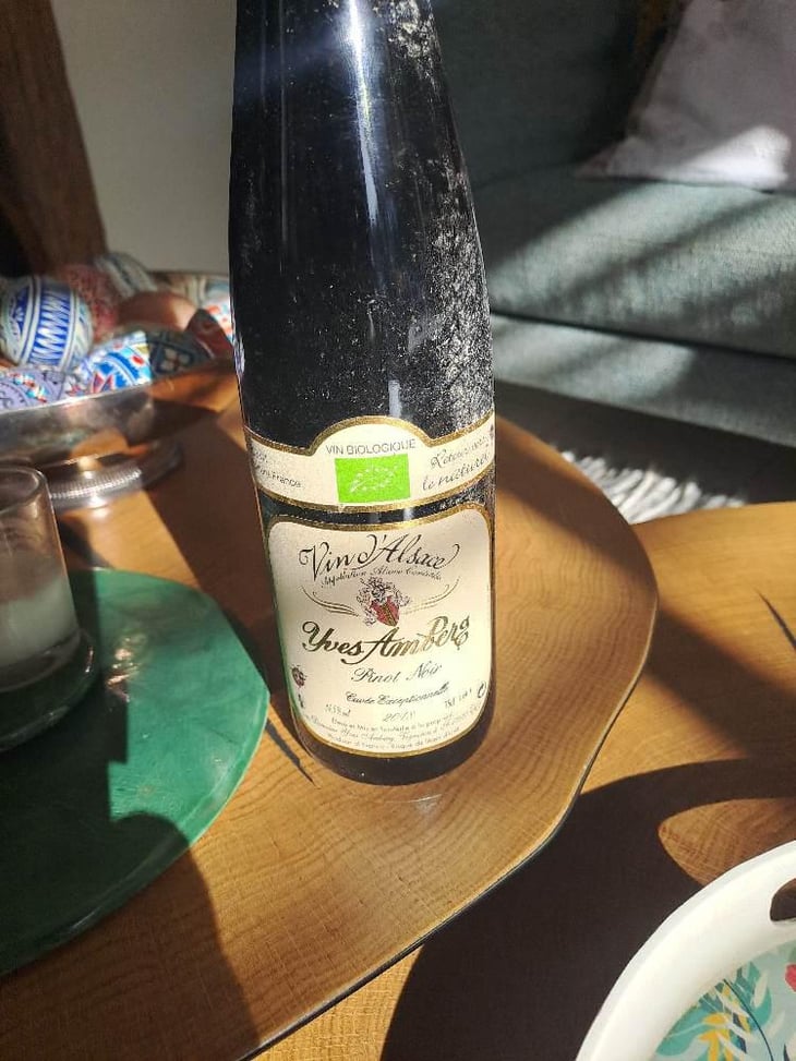 Pinot Noir Cuvée Tradition - Domaine Yves Amberg - Yves Amberg 