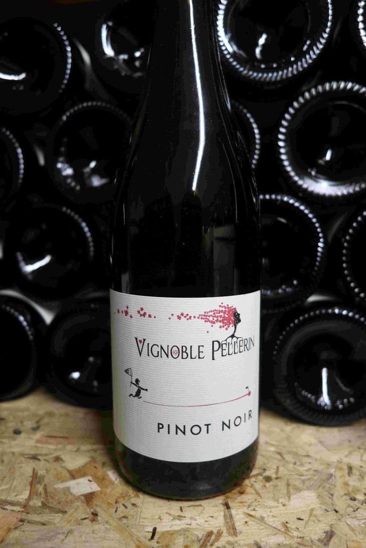 Pinot Noir - Vignoble Pellerin - Jean-Christophe, Baptiste & Lucien Pellerin 
