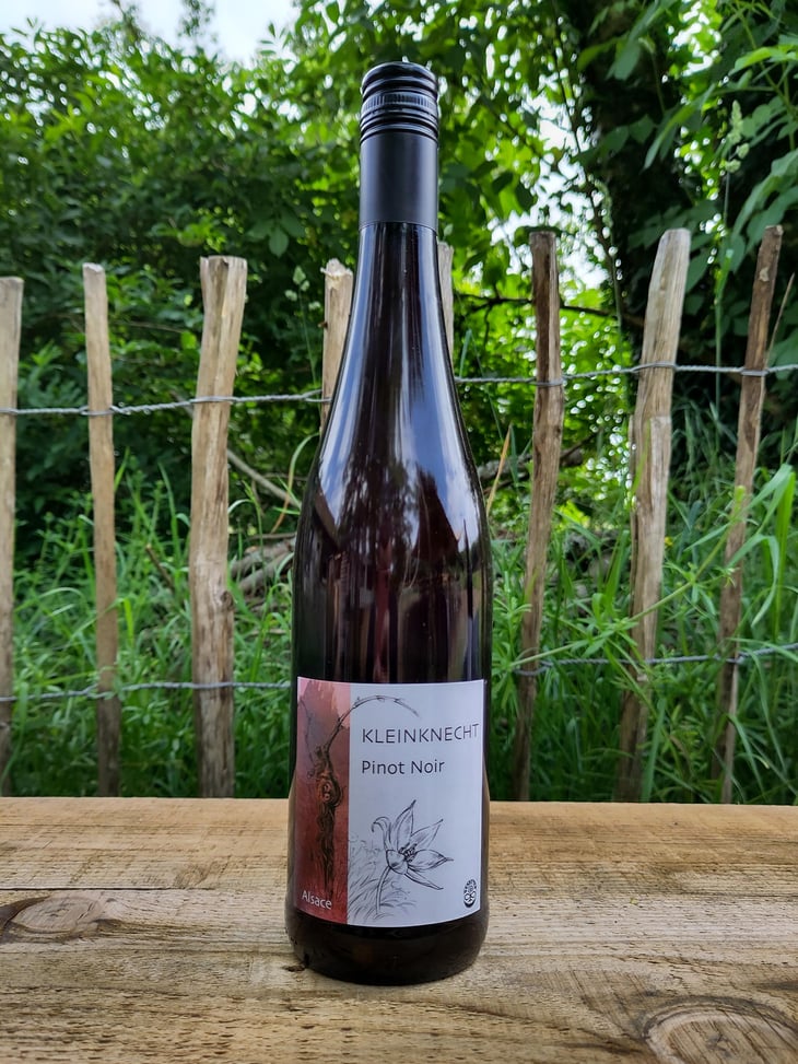 Pinot Noir - Domaine Kleinknecht - André Kleinknecht 