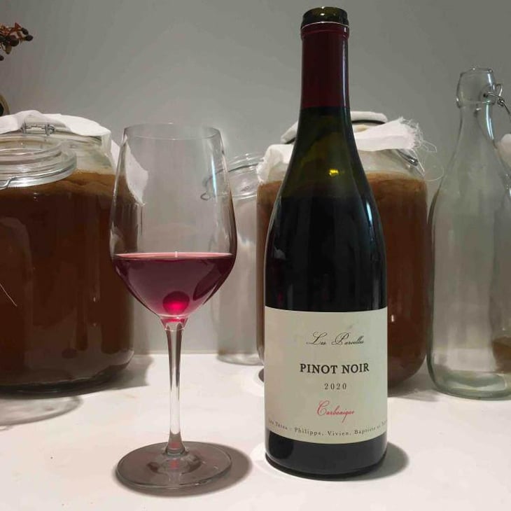 Pinot Noir - Les Têtes - Philippe Mesnier, Vivien Blot, Baptiste Lardeux 