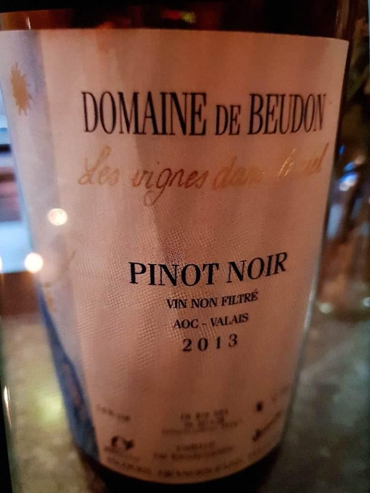 Pinot Noir - Domaine de Beudon - Marion Granges-Fayss 
