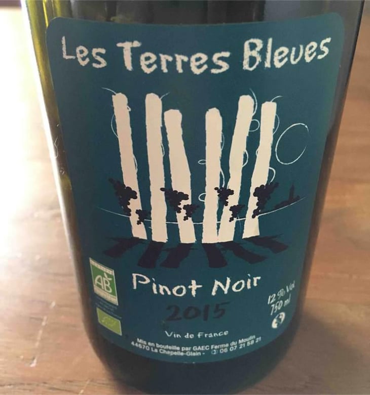 Pinot Noir - Les Terres Bleues - Xavière Hardy 