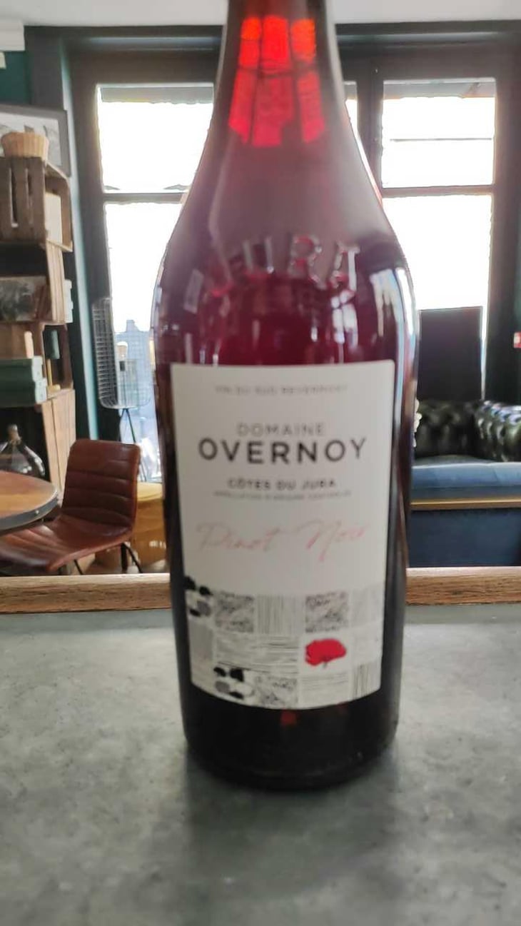 Pinot Noir - Domaine Overnoy - Guillaume Overnoy 