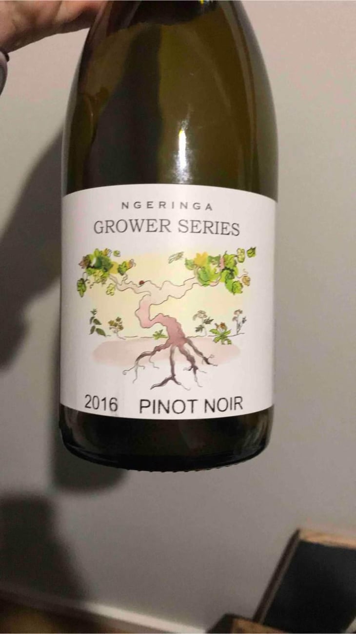 Pinot Noir - Ngeringa - Janet & Erinn Klein 