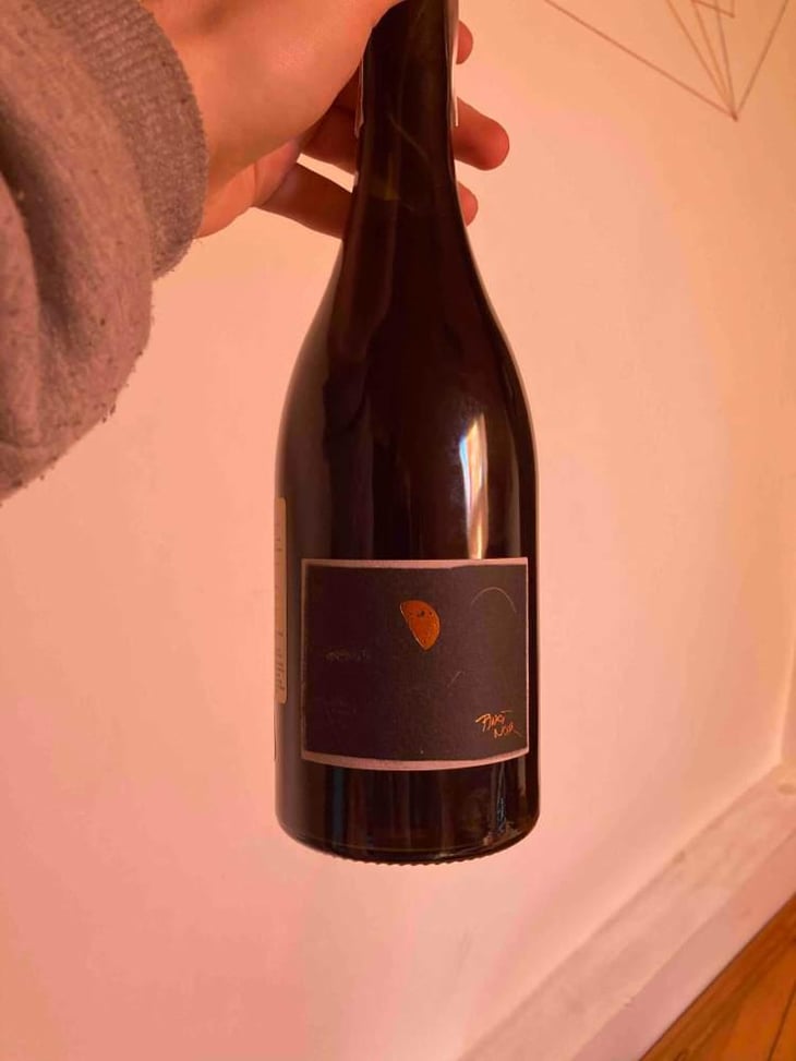 Pinot Noir - Bencze Birtok - István Bencze 