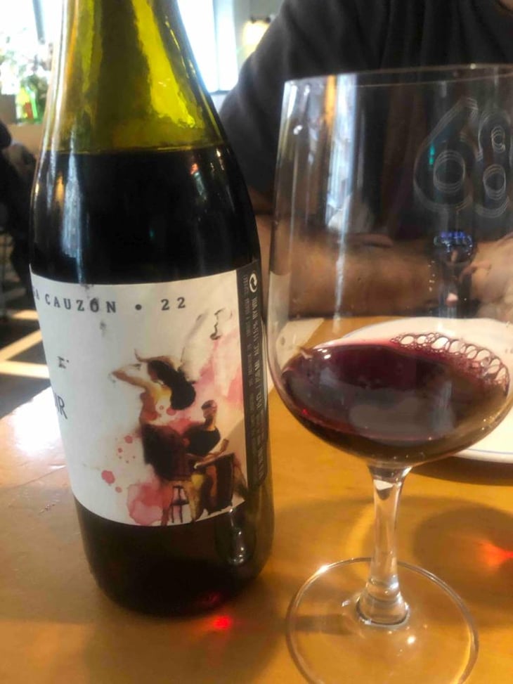 Pinot Noir - Bodega Cauzon - Ramón Saavedra 