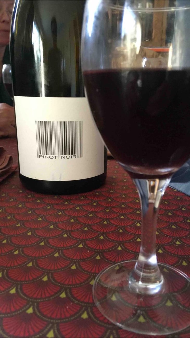 Pinot Noir - Domaine des Maisons Brûlées - Corinne & Paul Gillet 