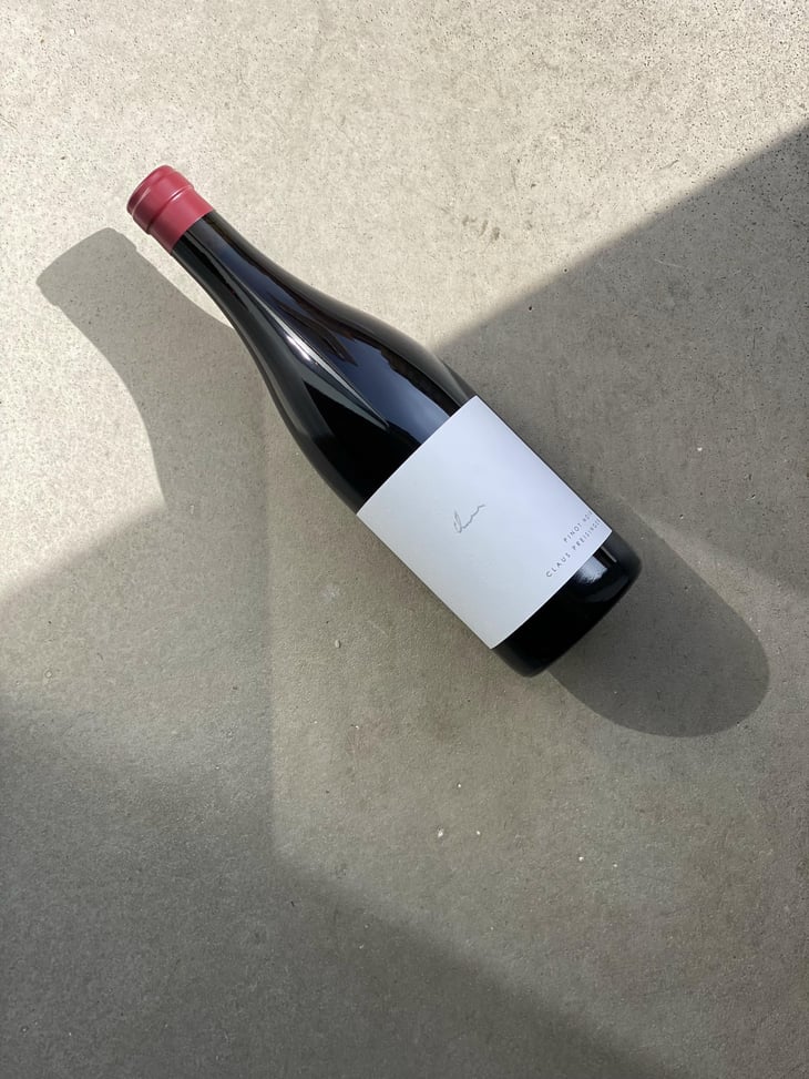 Pinot Noir - Weingut Claus Preisinger - Claus Preisinger 