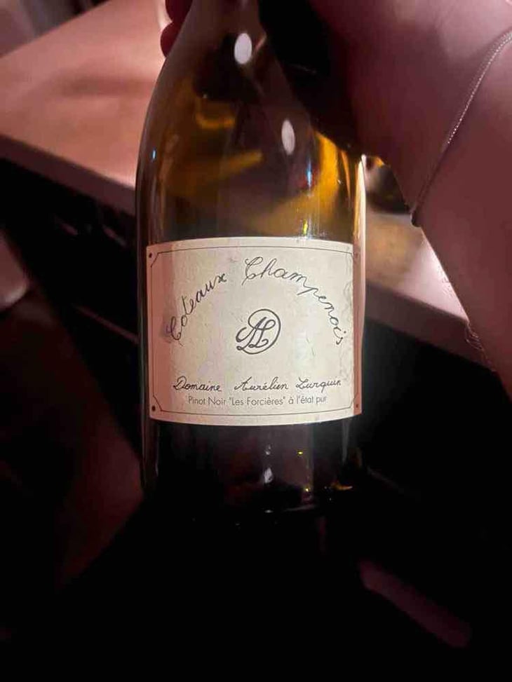 Pinot Noir "Les Forcières" à l'etat pur - Domaine Aurélien Lurquin - Aurélien Lurquin -2021