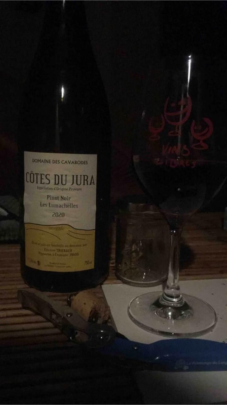 Pinot Noir Les Lumachelles - Domaine des Cavarodes - Etienne Thiebaud 