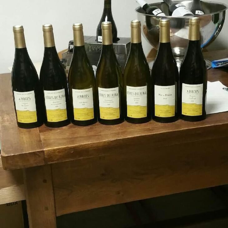 Pinot Noir Les Lumachelles - Domaine des Cavarodes - Etienne Thiebaud 