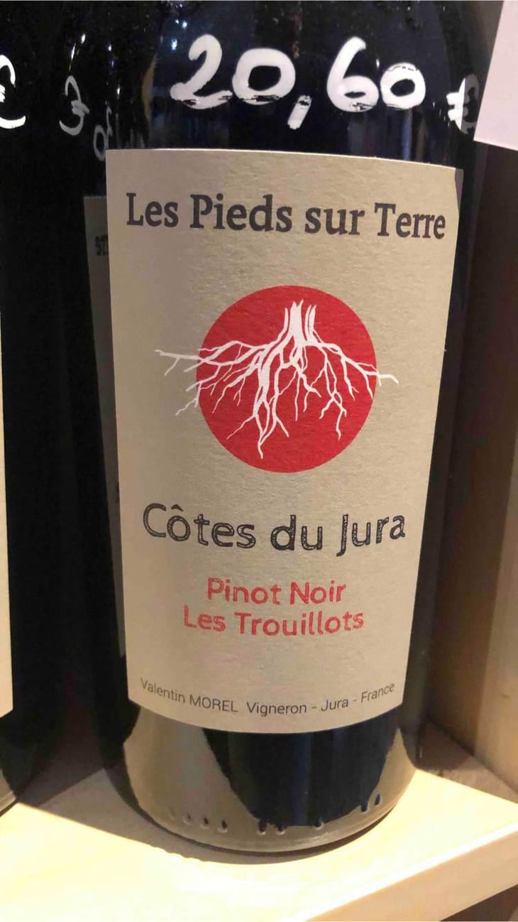 Pinot Noir Les Trouillots - Les Pieds Sur Terre - Valentin Morel 
