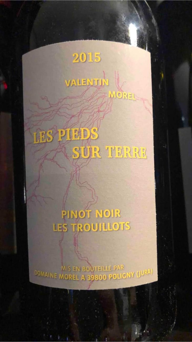 Pinot Noir Les Trouillots - Les Pieds Sur Terre - Valentin Morel 