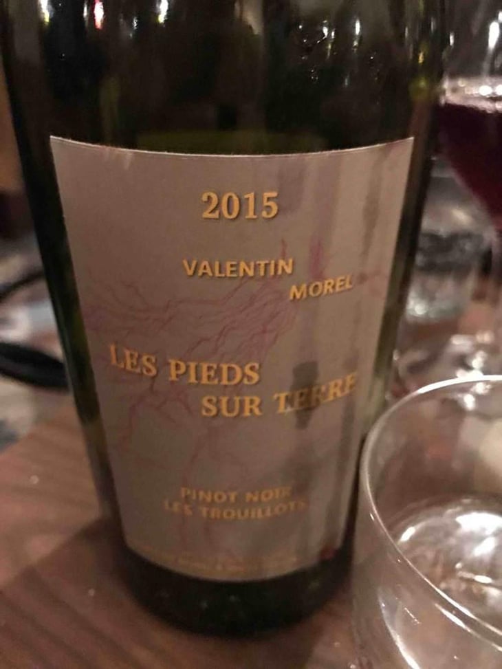 Pinot Noir Les Trouillots - Les Pieds Sur Terre - Valentin Morel 