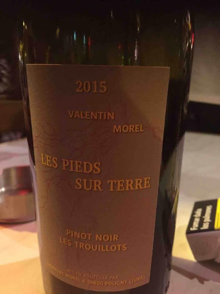 Pinot Noir Les Trouillots - Les Pieds Sur Terre - Valentin Morel 