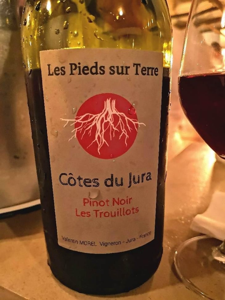 Pinot Noir Les Trouillots - Les Pieds Sur Terre - Valentin Morel 