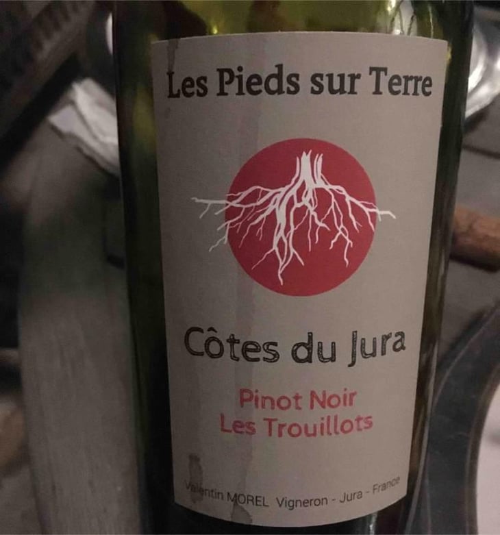 Pinot Noir Les Trouillots - Les Pieds Sur Terre - Valentin Morel 