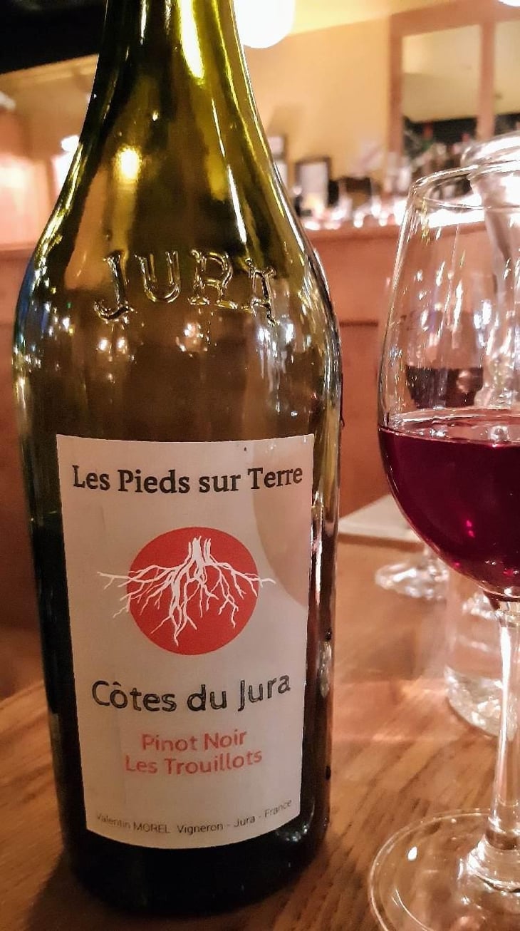 Pinot Noir Les Trouillots - Les Pieds Sur Terre - Valentin Morel 