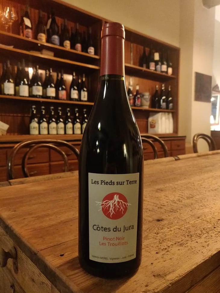 Pinot Noir Les Trouillots - Les Pieds Sur Terre - Valentin Morel 