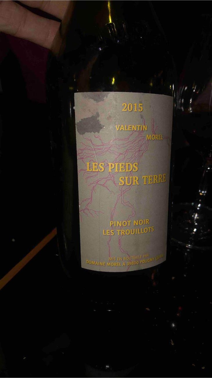 Pinot Noir Les Trouillots - Les Pieds Sur Terre - Valentin Morel 