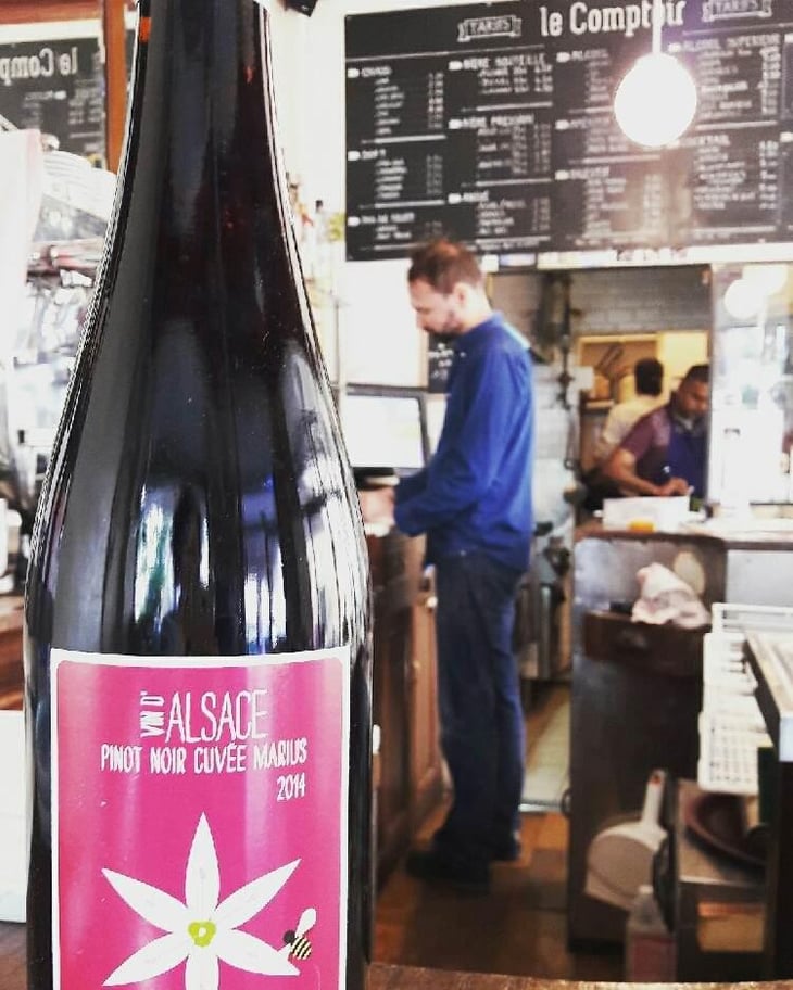 Pinot Noir MARIUS - Vincent Fleith - Brigitte et Vincent Fleith 