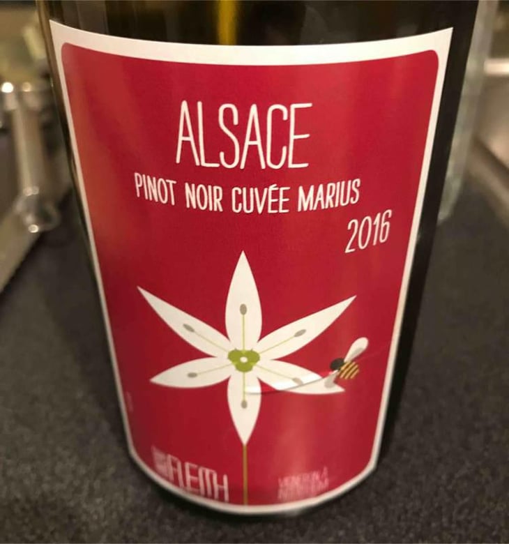 Pinot Noir MARIUS - Vincent Fleith - Brigitte et Vincent Fleith 