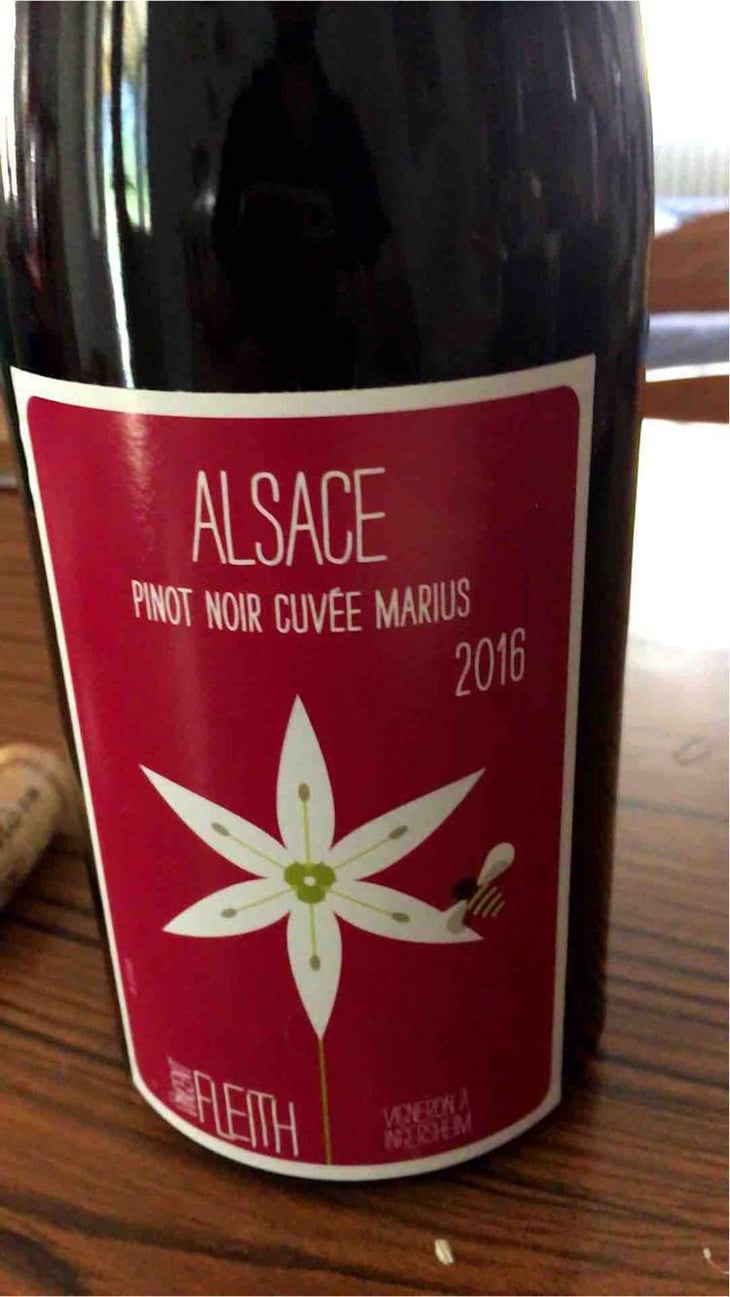 Pinot Noir MARIUS - Vincent Fleith - Brigitte et Vincent Fleith 