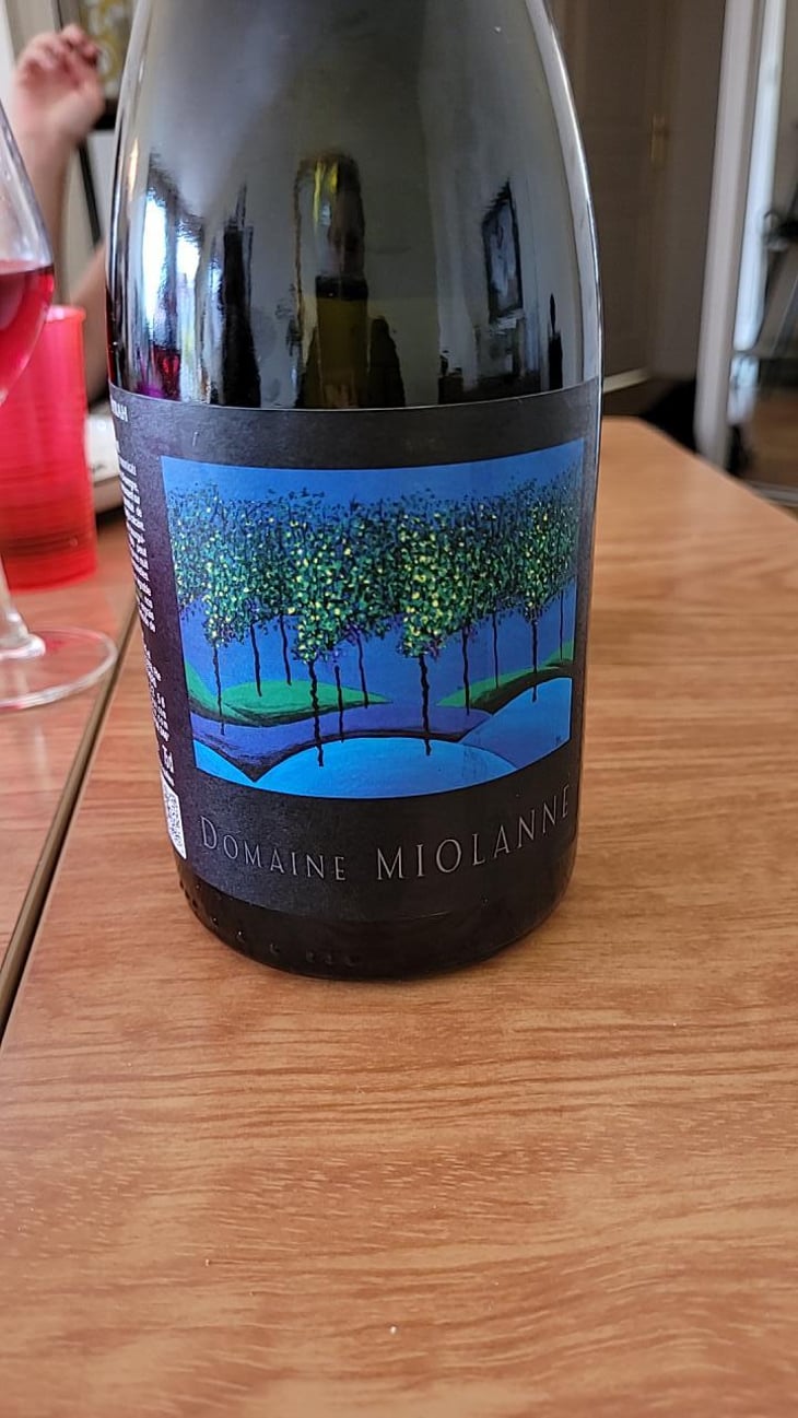Pinot Noir - Domaine Miolanne - Jean-Baptiste Deroche & Laure Cartier 