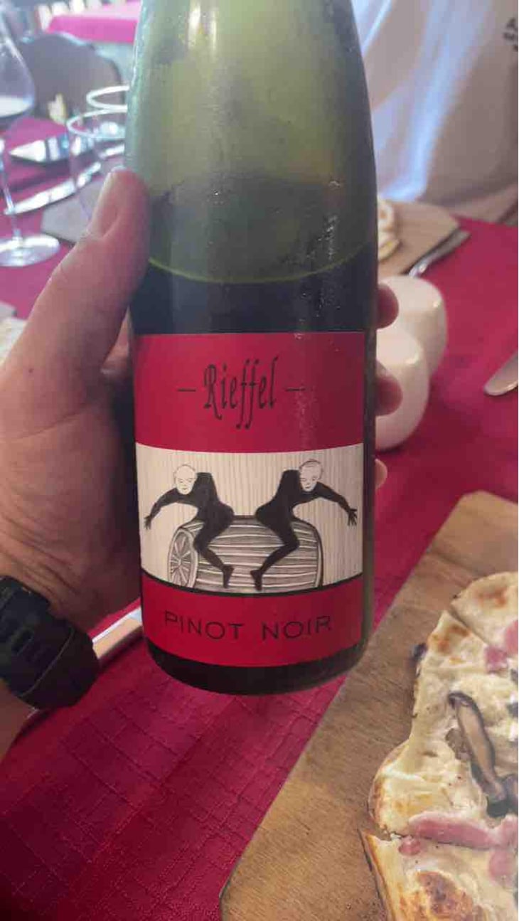 Pinot Noir Nature - Lucas & André Rieffel - Lucas Rieffel 