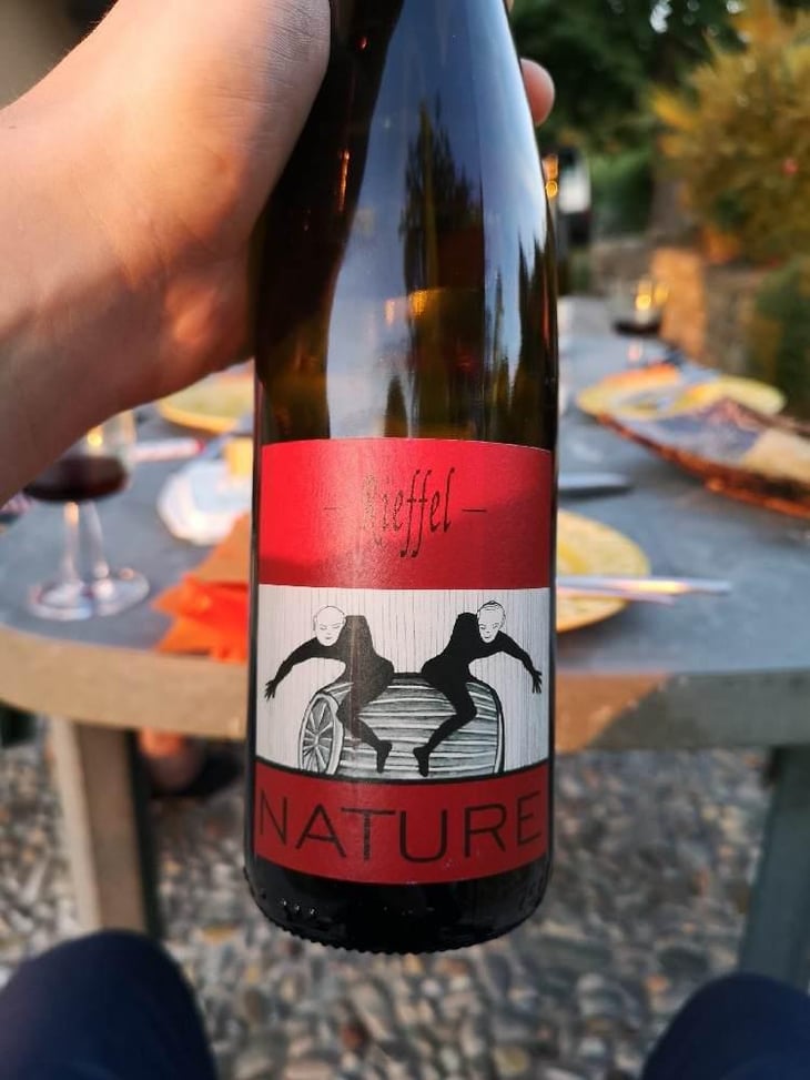 Pinot Noir Nature - Lucas & André Rieffel - Lucas Rieffel 