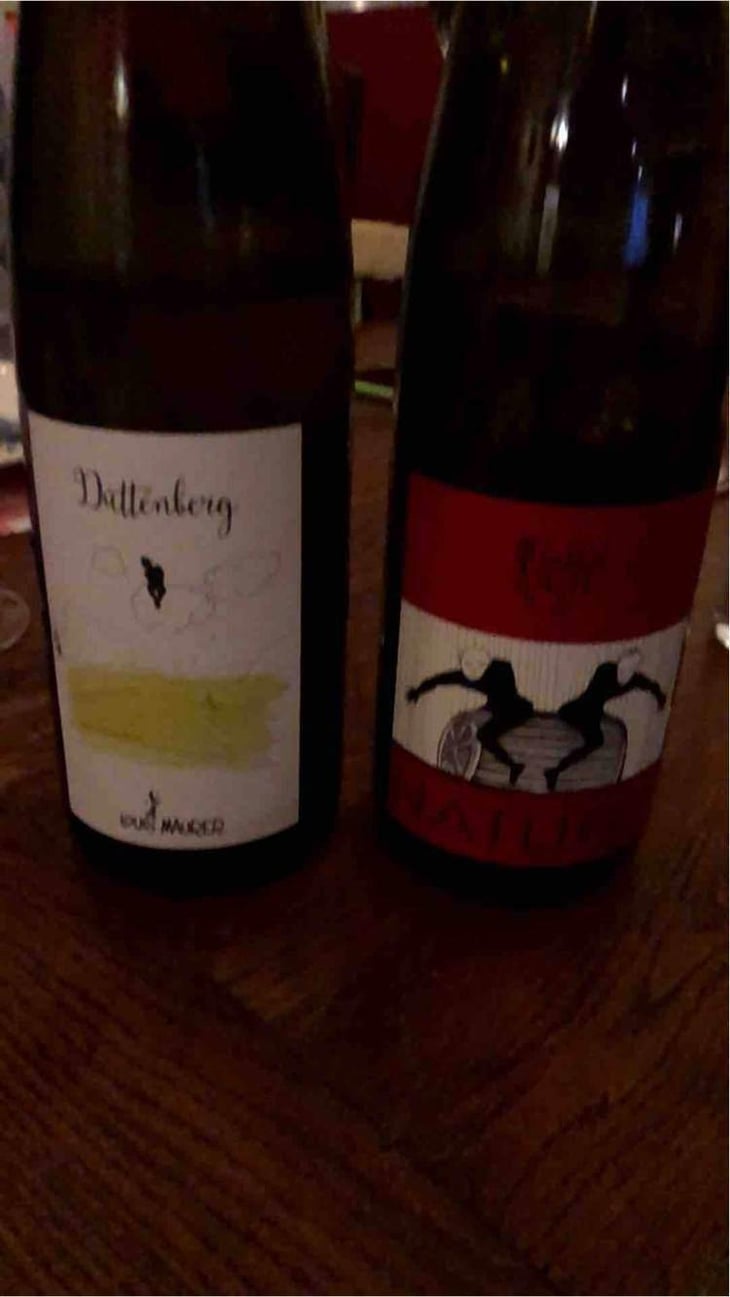 Pinot Noir Nature - Lucas & André Rieffel - Lucas Rieffel 