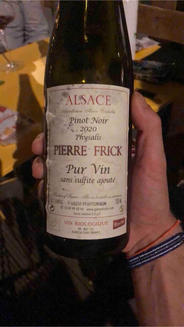 Physalis Pinot Noir - Domaine Pierre Frick - Jean-Pierre, Chantal et Thomas Frick 