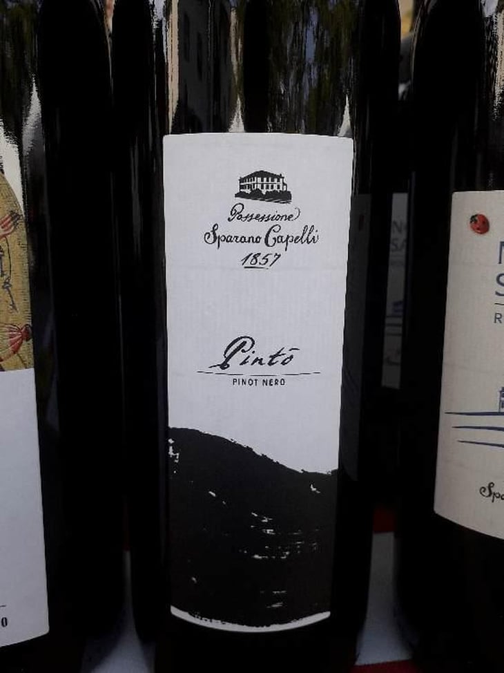 Pinot Noir PINTO' - Bosnasco Italy - Possessione Sparano Capelli 