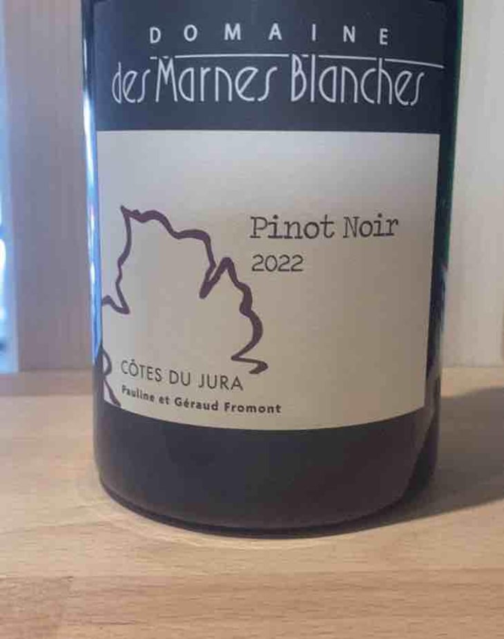 Pinot Noir - Domaine Des Marnes Blanches - Pauline & Géraud Fromont 