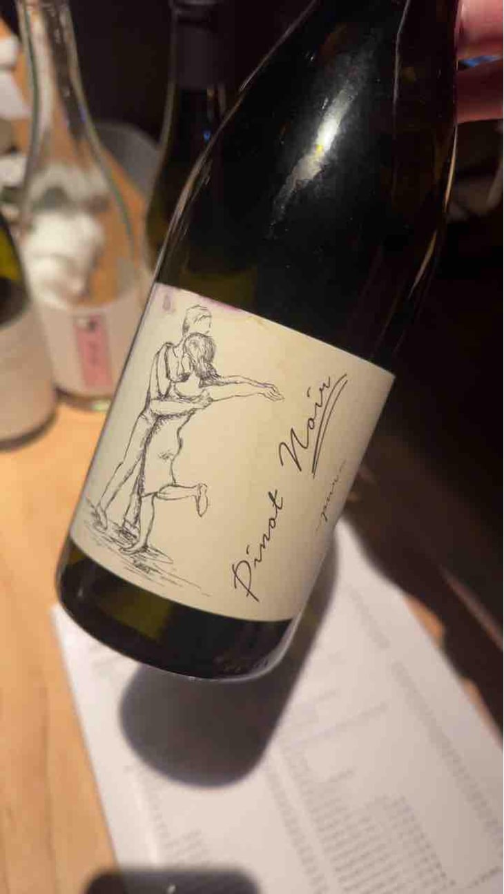 Pinot Noir Pur - Brand Bros - Weingut Brand - Daniel & Jonas Brand 