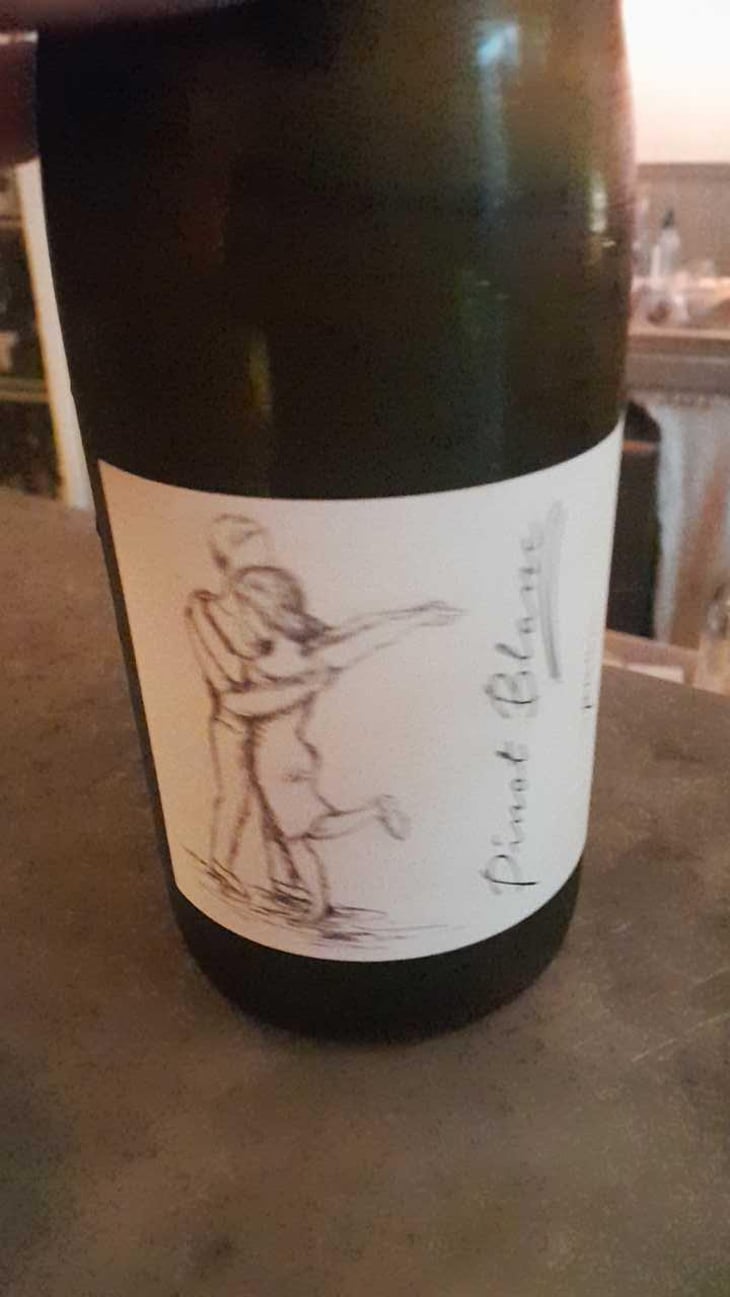 Pinot Noir Pur - Brand Bros - Weingut Brand - Daniel & Jonas Brand 